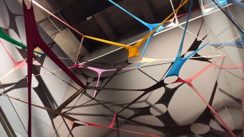 Between the Shores/Decade of Danube Dialogues