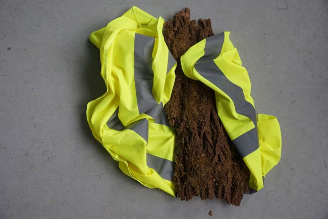 3 Zimmer / Küche / Diele / Bad