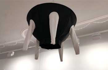 3 Zimmer / Küche / Diele / Bad